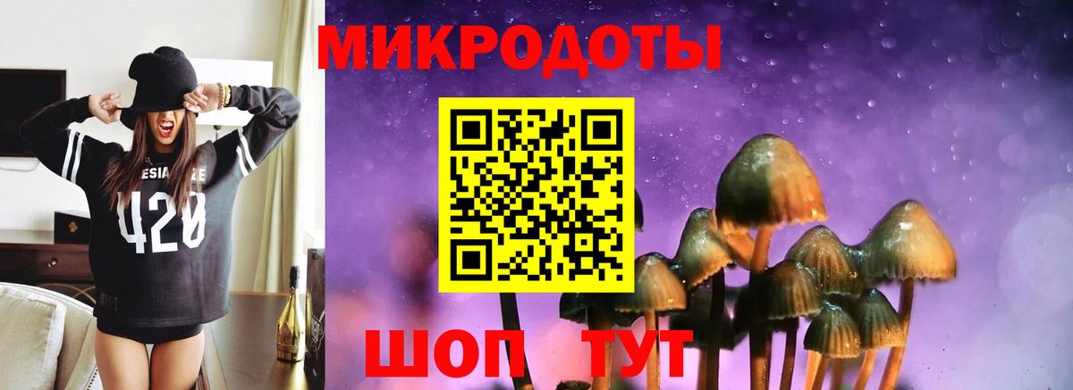 Псилоцибиновые грибы GOLDEN TEACHER  где можно купить   Ейск  Вход с VPN 